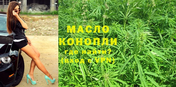 крисы Абаза
