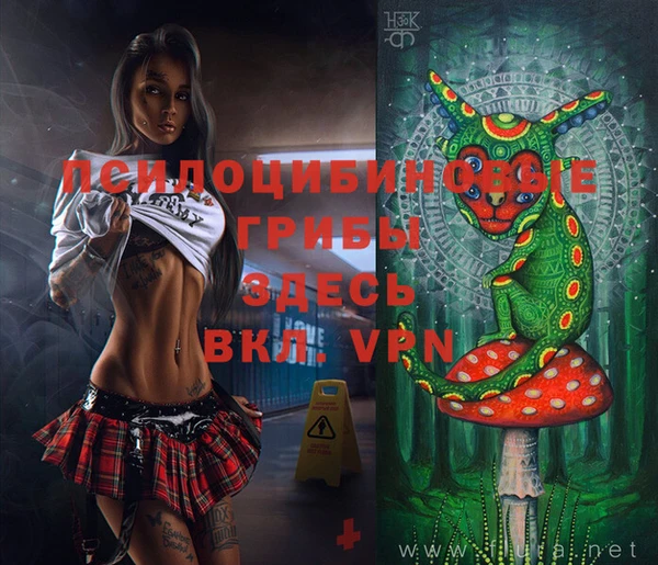 мдпв Абдулино