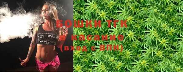 СК Алексин