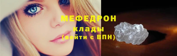 СК Алексин
