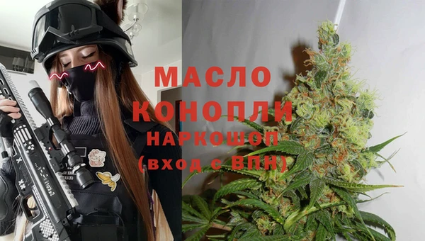 СК Алексин