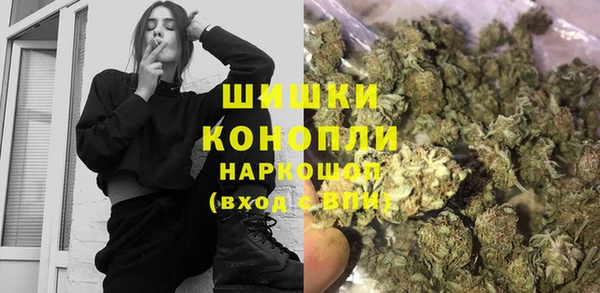 крисы Абаза