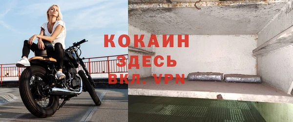 дживик Алексеевка
