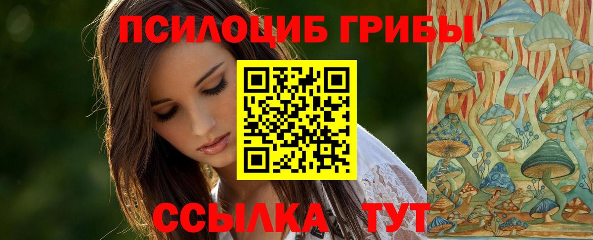 Галлюциногенные грибы MAGIC MUSHROOMS  Вход с VPN  Псилоцибиновые грибы мицелий  Татарск 